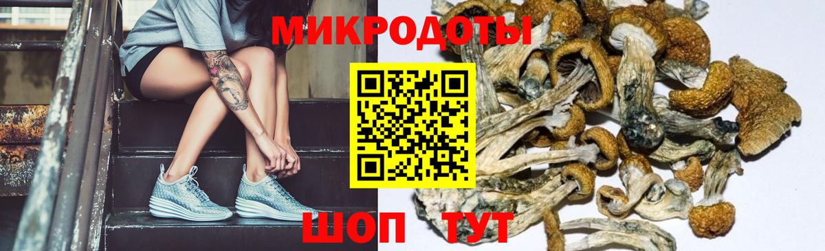 Псилоцибиновые грибы прущие грибы  Галлюциногенные грибы прущие грибы  Мелеуз  Вход с VPN 